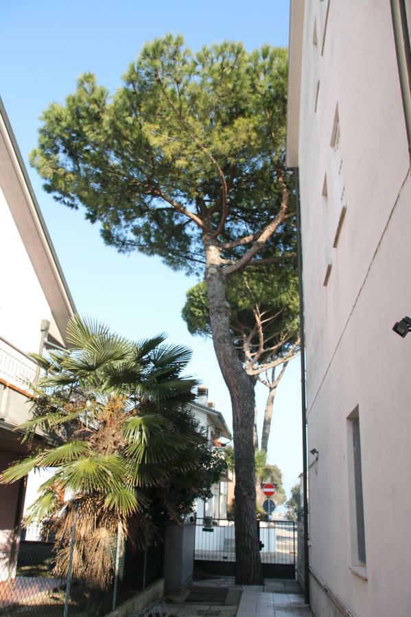 Appartamento Marina Punta Marina Exterior photo